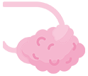 Brain
